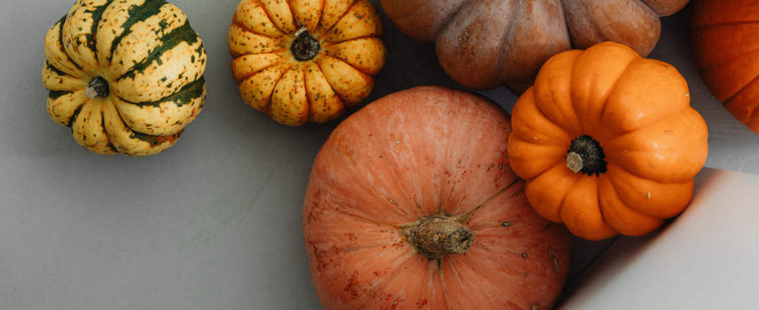 15 Best Fall Books for Babies, Toddlers & Preschoolers (2026 Reading List)